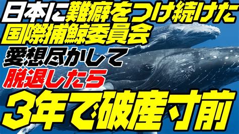 iwc 鯨|国際捕鯨委員会「破産の恐れ」 3年前に日本脱退、本 .